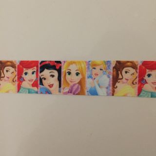 ディズニー(Disney)のプリンセス 25mm リボン(各種パーツ)