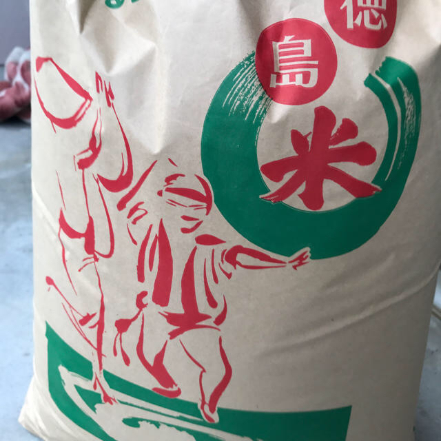 平成30年度 徳島県産 玄米こしひかり 25キロ - 米/穀物