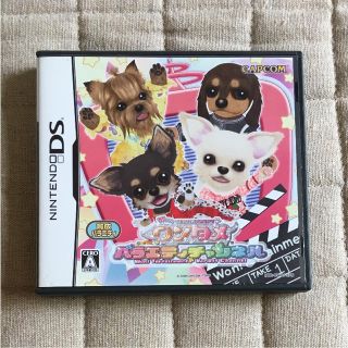 ニンテンドーDS(ニンテンドーDS)のDS ワンタメバラエティチャンネル(携帯用ゲームソフト)