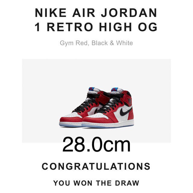 NIKE AIR JORDAN 1 HIGH  ORIGIN STORY 28