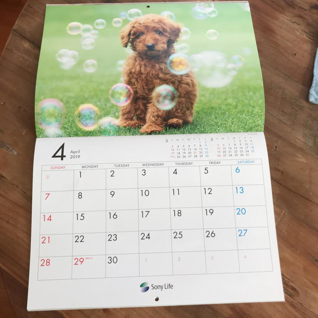 2019カレンダー インテリア/住まい/日用品の文房具(カレンダー/スケジュール)の商品写真