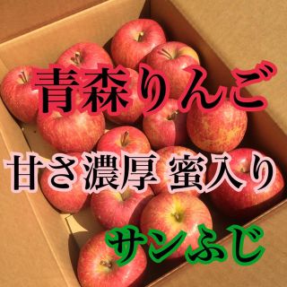 リンゴ 果物 家庭用(フルーツ)