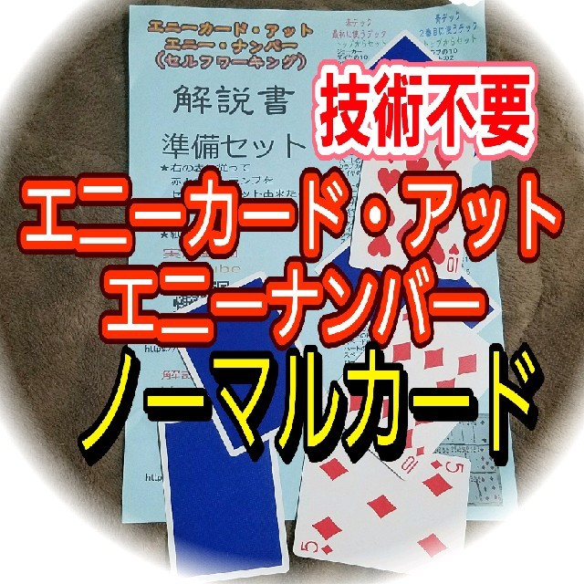 エニーカードアットエニーナンバー 解説書と動画解説 エンタメ/ホビーの本(語学/参考書)の商品写真