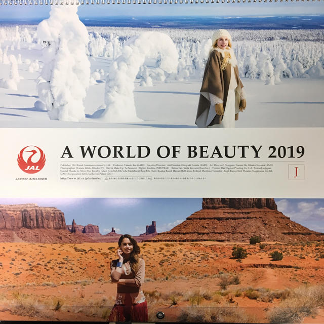 JAL(日本航空)(ジャル(ニホンコウクウ))の2019年カレンダー（A WORLD OF BEAUTY 2019） インテリア/住まい/日用品の文房具(カレンダー/スケジュール)の商品写真