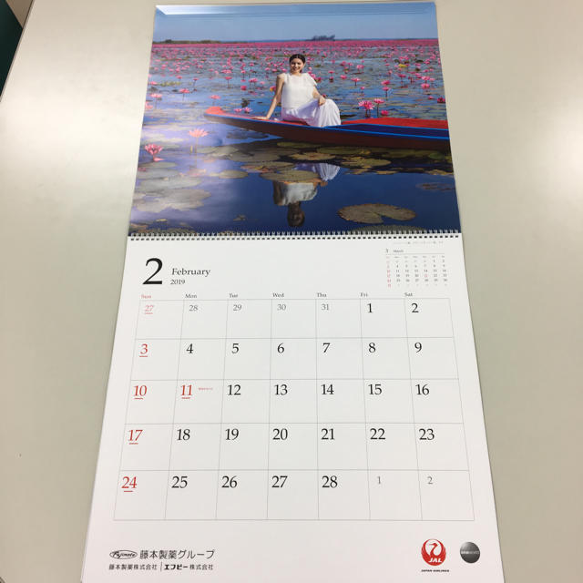 JAL(日本航空)(ジャル(ニホンコウクウ))の2019年カレンダー（A WORLD OF BEAUTY 2019） インテリア/住まい/日用品の文房具(カレンダー/スケジュール)の商品写真