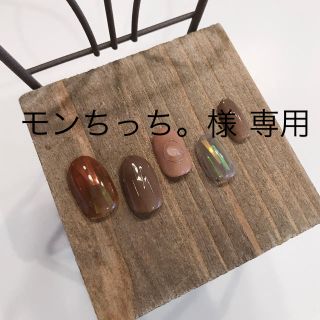 モンちっち。様専用(ネイルチップ)