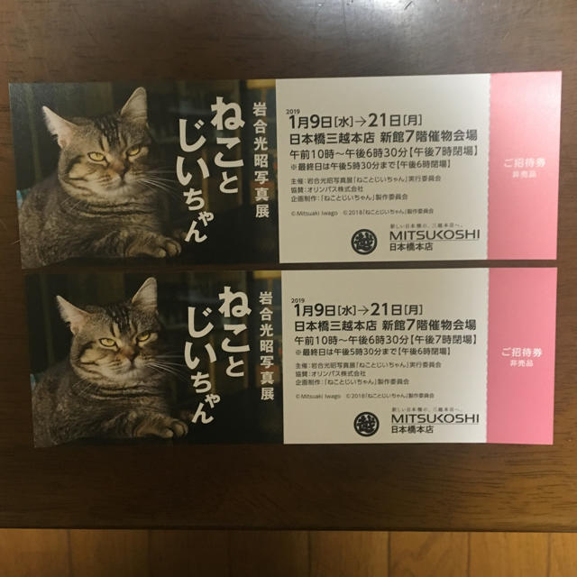 写真展 ねことじいちゃん 招待券2枚 チケットのイベント(その他)の商品写真