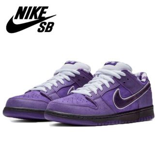 ナイキ(NIKE)のCONCEPTS × NIKE SB DUNK LOW 25.5cm(スニーカー)