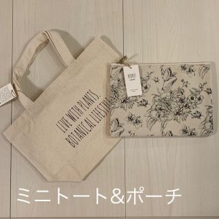 ボタニスト(BOTANIST)のエコバッグ(トートバッグ)