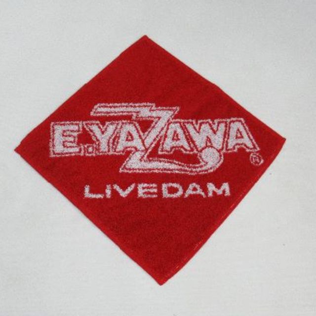 Yazawa(ヤザワコーポレーション)のYAZAWA　第一興商　LIVE　DAM　ハンドタオル　２枚 エンタメ/ホビーのタレントグッズ(ミュージシャン)の商品写真