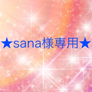 ワコール(Wacoal)のsana様専用(その他)