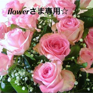 flowerさま専用です☆(エコバッグ)