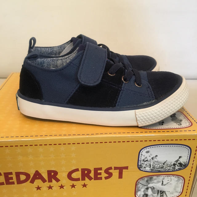 CEDAR CREST(セダークレスト)の新品キッズ スニーカー キッズ/ベビー/マタニティのキッズ靴/シューズ(15cm~)(スニーカー)の商品写真