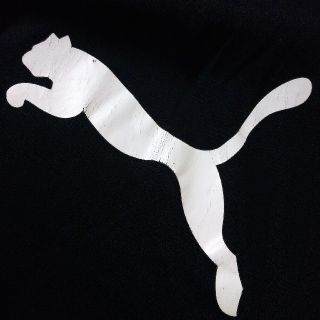 プーマ(PUMA)のカットソー(Tシャツ/カットソー(七分/長袖))