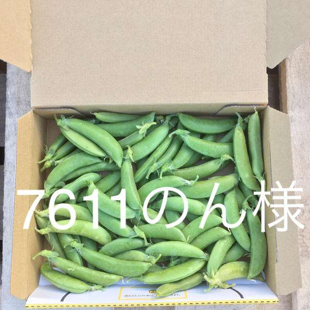 鹿児島産スナップエンドウ500g^_^ 食品/飲料/酒の食品(野菜)の商品写真