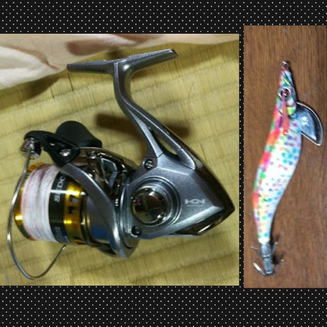 SHIMANO - 半熟主任様専用 シマノ 17 セドナ 2500S peライン エギ 送料込の通販 by ty216's shop｜シマノならラクマ