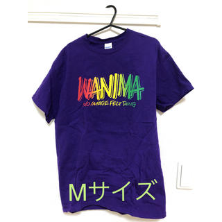 ワニマ(WANIMA)のWANIMA 1CHANCE NIGHT TOUR Tシャツ Mサイズ(ミュージシャン)