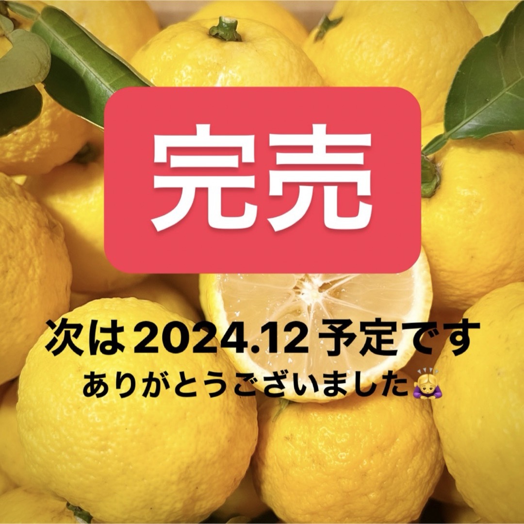 【販売終了】ありがとうございました🙇🏻‍♀️✨️次は2024.12月中旬予定です 食品/飲料/酒の食品(フルーツ)の商品写真