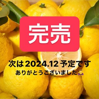 【販売終了】ありがとうございました🙇🏻‍♀️✨️次は2024.12月中旬予定です(フルーツ)