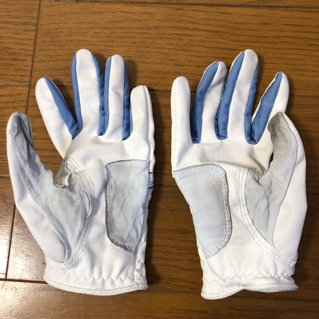 FootJoy(フットジョイ)のフットジョイ グローブ 両手用 スポーツ/アウトドアのゴルフ(その他)の商品写真