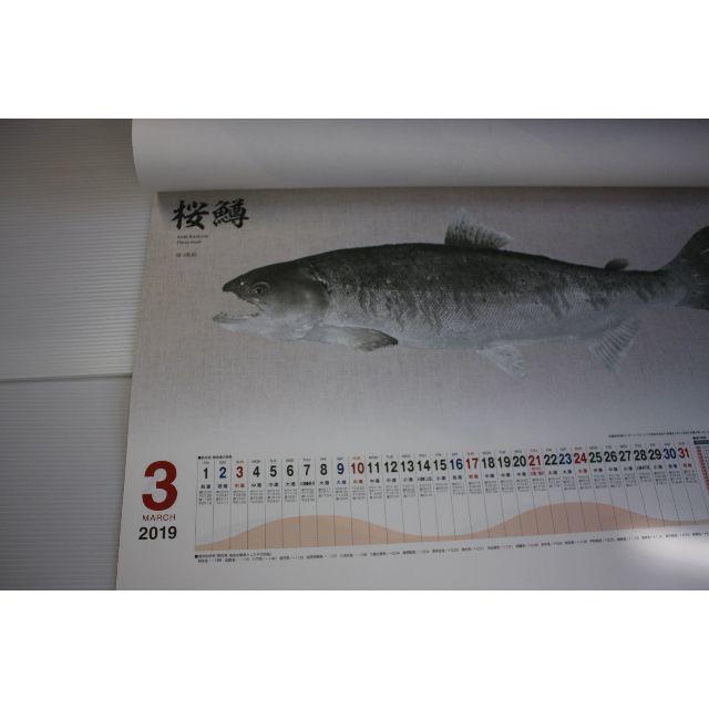 SHIMANO(シマノ)の値下げ2019（平成31）シマノ魚拓カレンダー釣具店名刷込無1冊02本州四国限定 スポーツ/アウトドアのフィッシング(その他)の商品写真