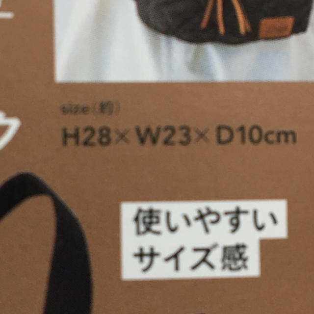 宝島社(タカラジマシャ)のリンネル2019年2月号付録のリュック レディースのバッグ(リュック/バックパック)の商品写真