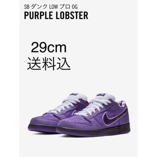 ナイキ(NIKE)のCONCEPTS x NIKE SB DUNK LOW (スニーカー)