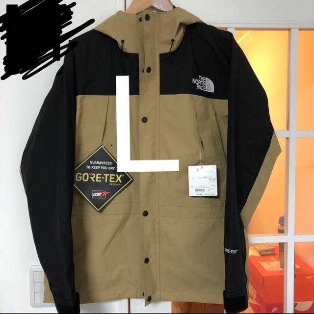 L The North Face Mountain Light Jacket