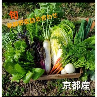 joy君ままさん専用です！(野菜)