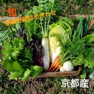 今が旬の京野菜！朝採り発送！！無農薬 減農薬 是非どうぞ(野菜)