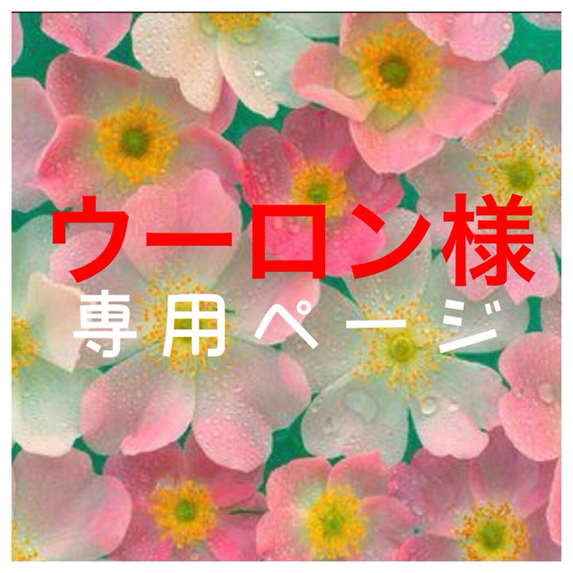 競売 うーろん様専用 sushitai.com.mx