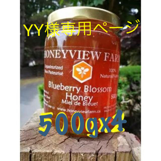 【希少/非加熱】ブルーベリーの花から集めた『はちみつ』500Gx4(缶詰/瓶詰)