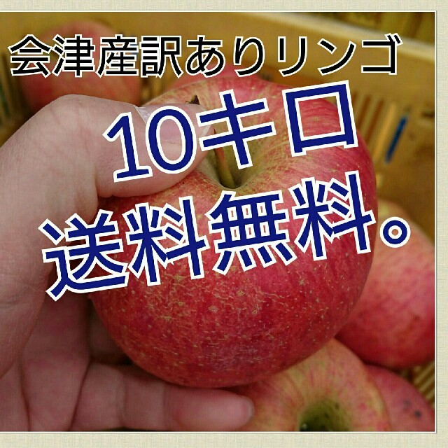 会津産訳あり樹上完熟葉取らずリンゴなり～。 食品/飲料/酒の食品(フルーツ)の商品写真