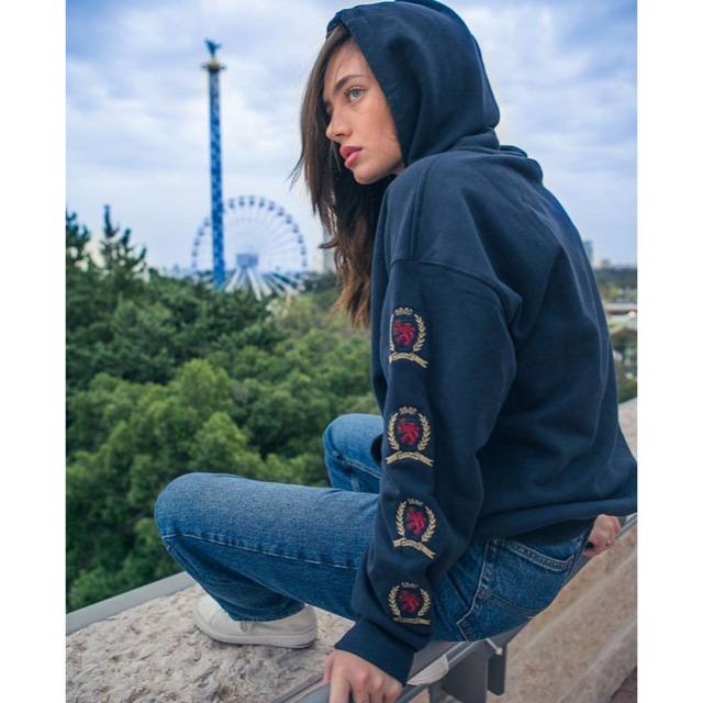 TOMMY HILFIGER(トミーヒルフィガー)の値下げ！Tommy jeans crest hoody トミージーンズ パーカー メンズのトップス(パーカー)の商品写真