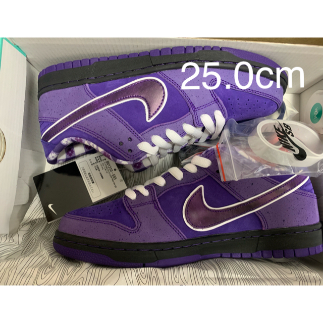 Nike sb ダンク low concepts purple Lobster