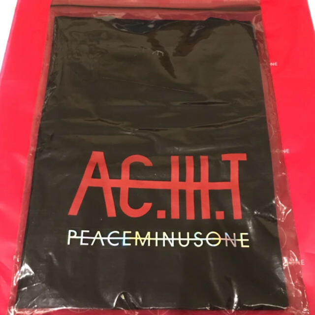 PEACEMINUSONE(ピースマイナスワン)のPEACEMINUSONE × AC.Ⅲ.T チェジュ★Tシャツ フリーサイズ メンズのトップス(Tシャツ/カットソー(半袖/袖なし))の商品写真