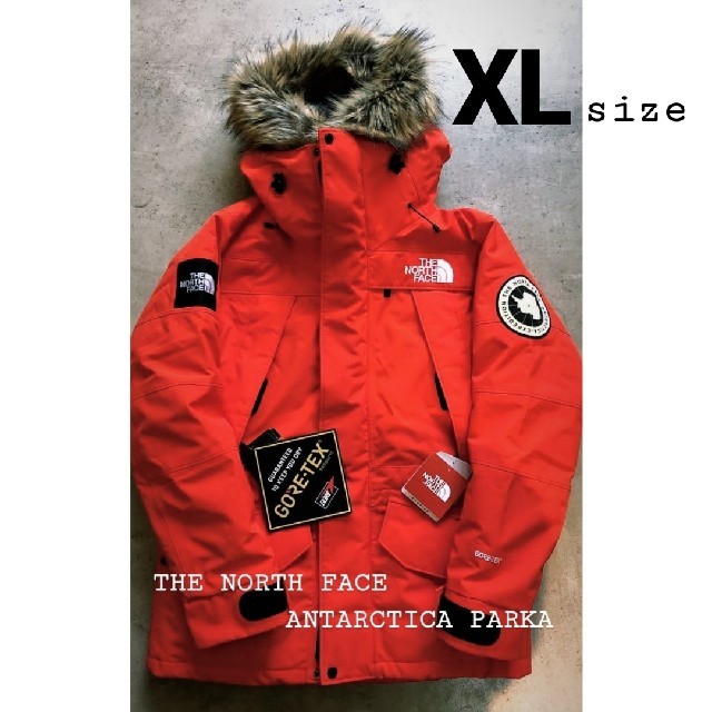 格安SALEスタート! NORTH THE FACE 各size入荷! ー新品未使用 アン