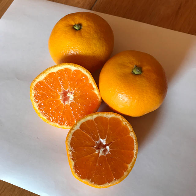 いくら様専用 マルチ小粒みかん10kg 食品/飲料/酒の食品(フルーツ)の商品写真