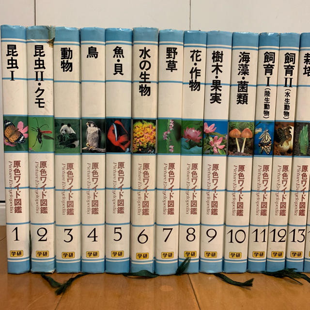 【購入注意】学習研究社 学研原色ワイド図鑑 26巻 A