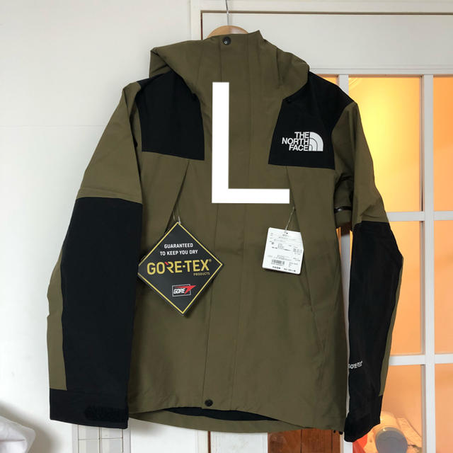 L The North Face Mountain Jacket