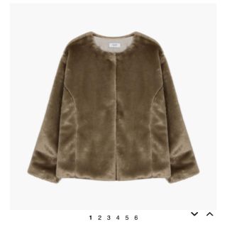 オオトロ(OHOTORO)のMont Blanc coat ファーコート(毛皮/ファーコート)