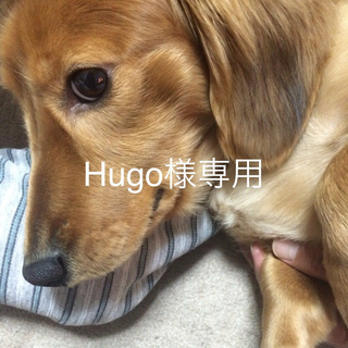 イング(INGNI)のHugo様専用♡*.+゜(ニット/セーター)