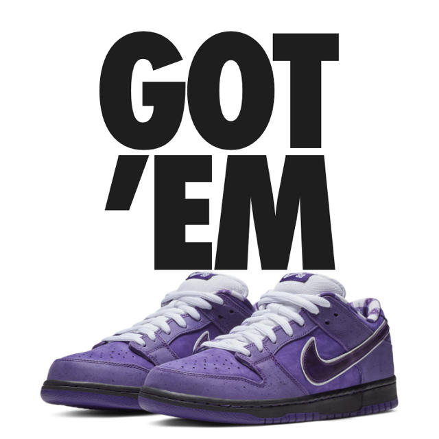 NIKE(ナイキ)のnike dunk sb purple lobster メンズの靴/シューズ(スニーカー)の商品写真