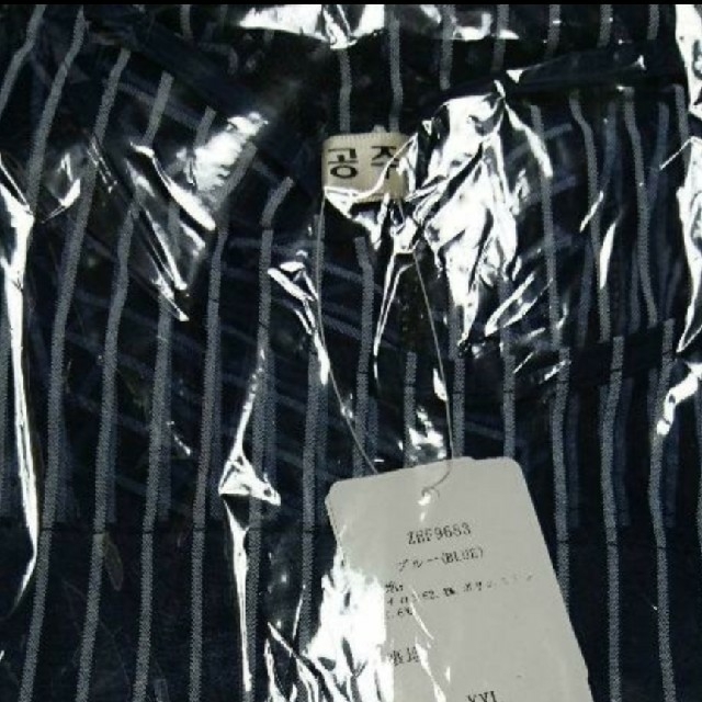 6L 新品 半袖シースルーワンピース 青 大きいサイズ レディース ひざ丈 夏 レディースのワンピース(ひざ丈ワンピース)の商品写真