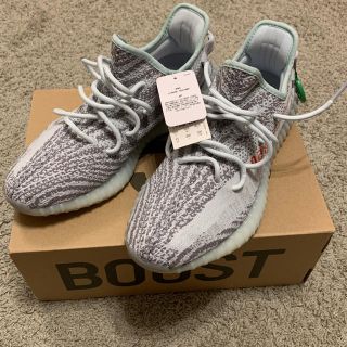 アディダス(adidas)の29cm adidas Yeezy Boost 350 V2 Blue Tint(スニーカー)