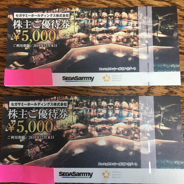 シーガイア 施設利用券 一万円 チケットの施設利用券(遊園地/テーマパーク)の商品写真