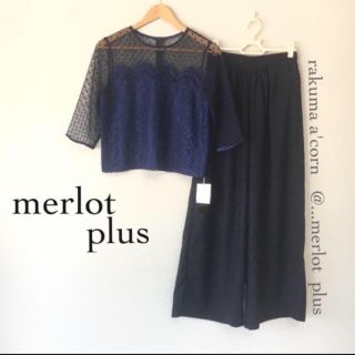 メルロー(merlot)のmerlot plus ドットチュールレースセットアップ ＊ネイビー(その他)