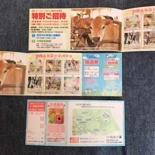 成田ゆめ牧場 特別ご招待券 非売品(遊園地/テーマパーク)