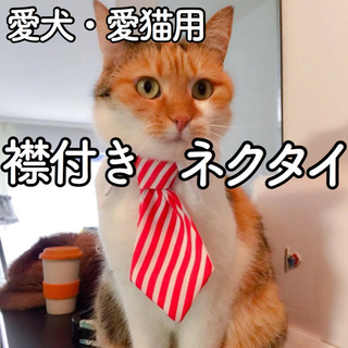 【新品】猫 犬 ネクタイ コスプレ 首輪 シャツ 服 ストライプ(猫)