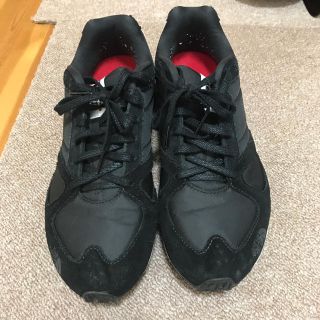 ザノースフェイス(THE NORTH FACE)の24.5  North  Face(スニーカー)